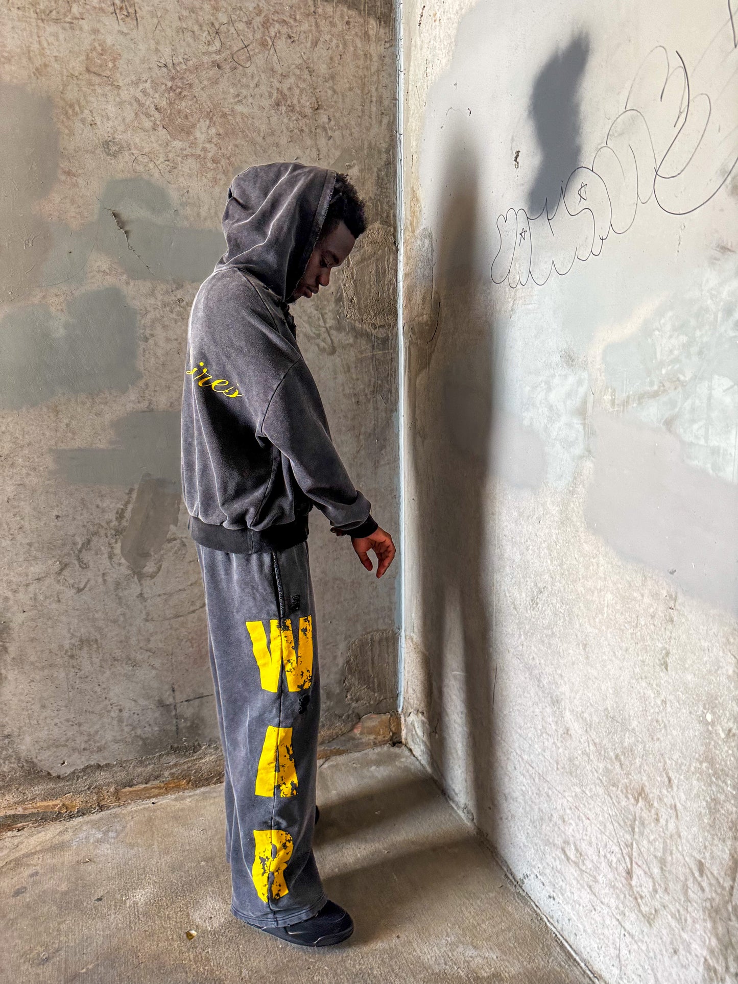 War is Coming Hoodie